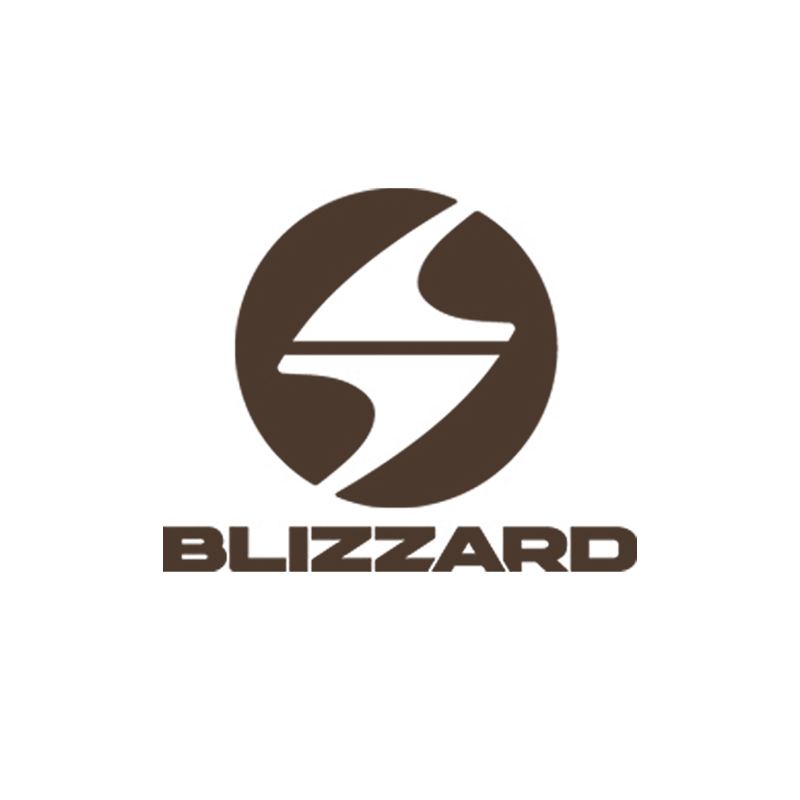 Product image: Blizzard Logo.