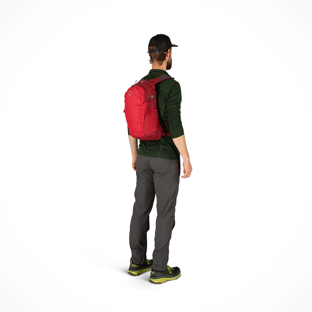 Camping Backpacks Osprey Daylite Cosmic Red Model Back