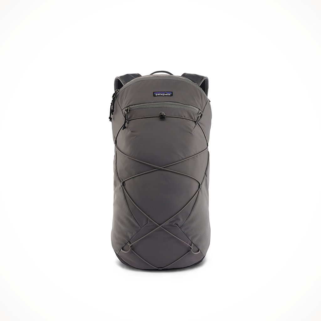 Patagonia 22l backpack cheap