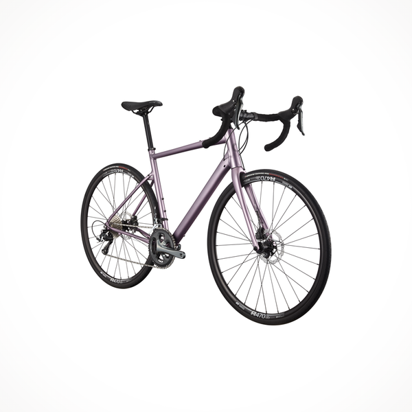 Synapse 2 - OutdoorSports.com