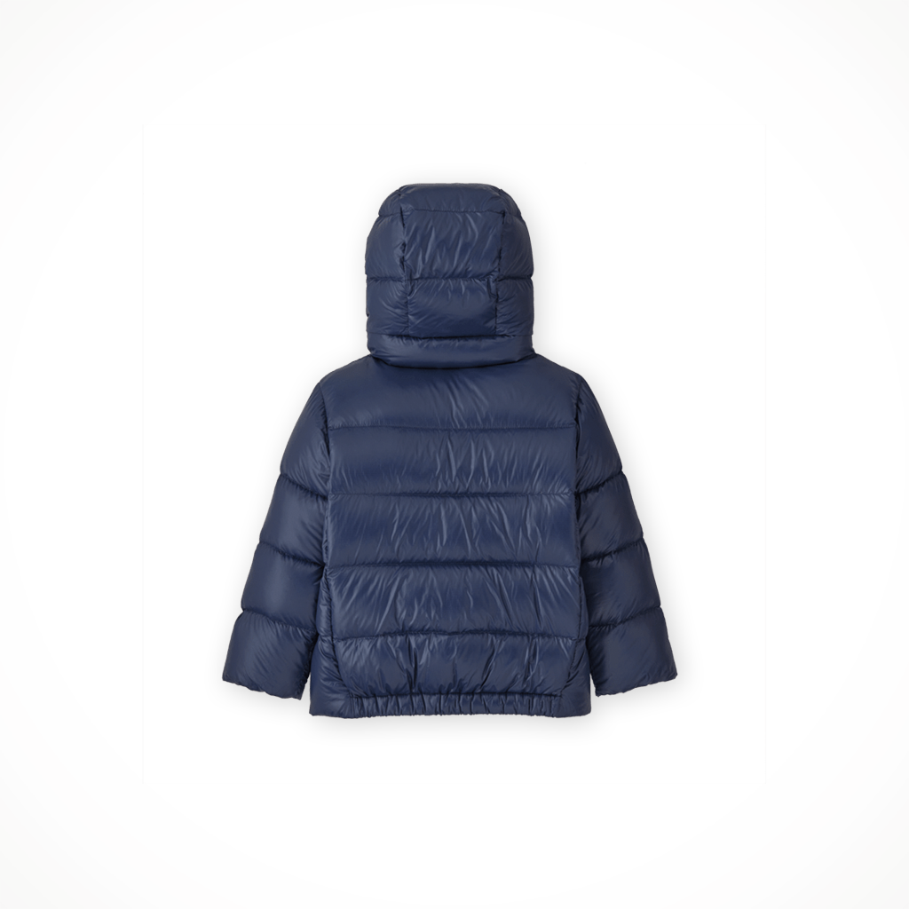 Hi-Loft Down Sweater Hoody — Tots'