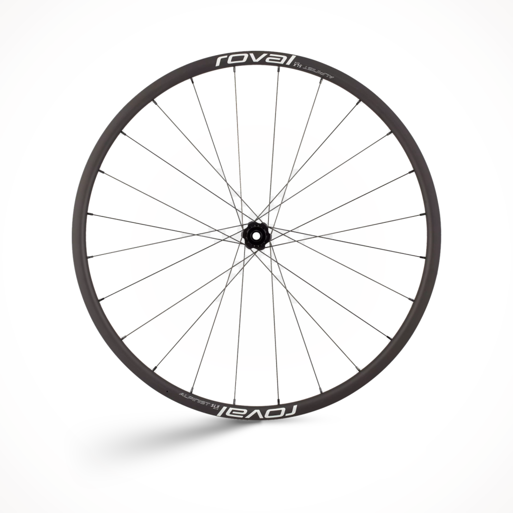 Alpinist SLX Disc 700c — Rear