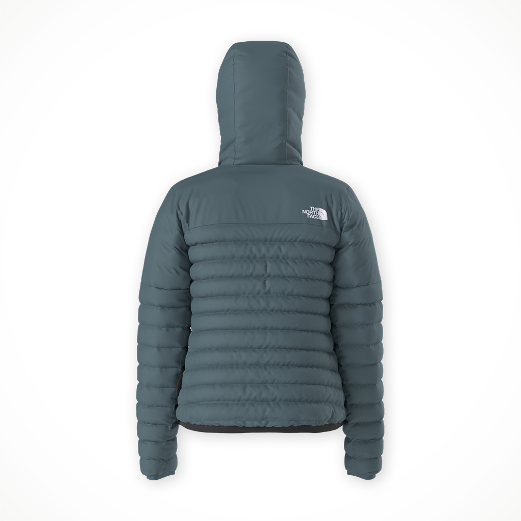 Product image: TNF Terra Peak Hoodie Space 2025 Womens, shown from the back.