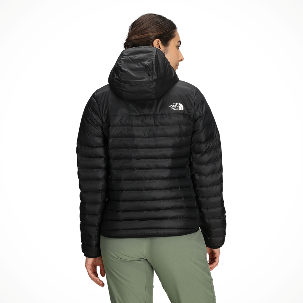 Product image: TNF Terra Peak Hoodie TNF Black 2025 Womens alt2.