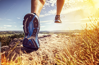 Trail Running Large Collection List