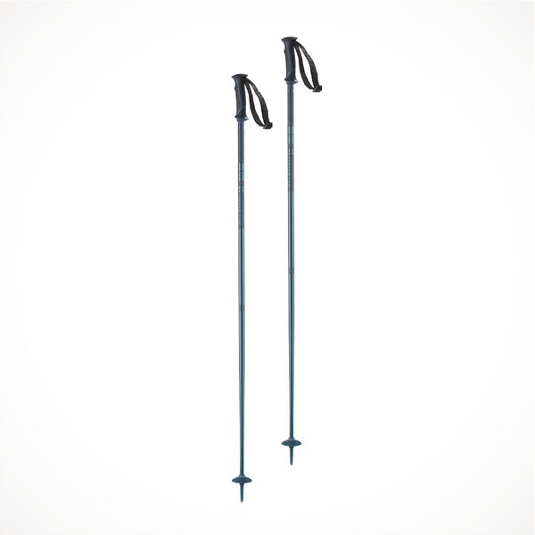 salomon arctic s3 ski poles 2019 Hacker The Salomon POLAR PRO S3 ski pole embodies elegance and performance on the slopes.Designed for demanding skiers Salomon Polar Pro S3 Ski