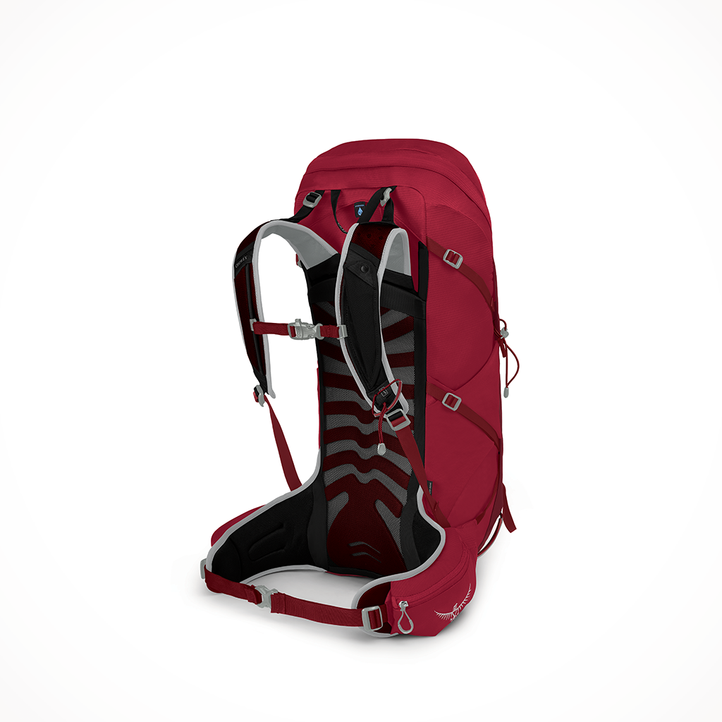 Camping Backpacks Mens Talon 36 Cosmic Red Interior