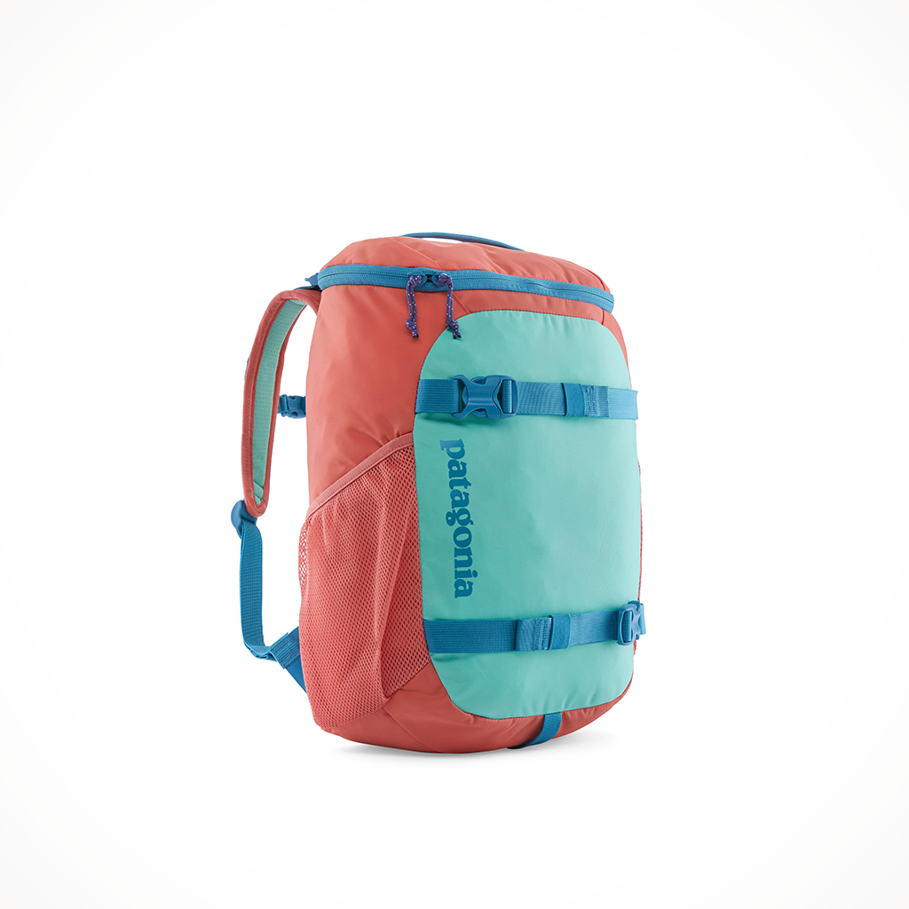 Teal sales patagonia backpack