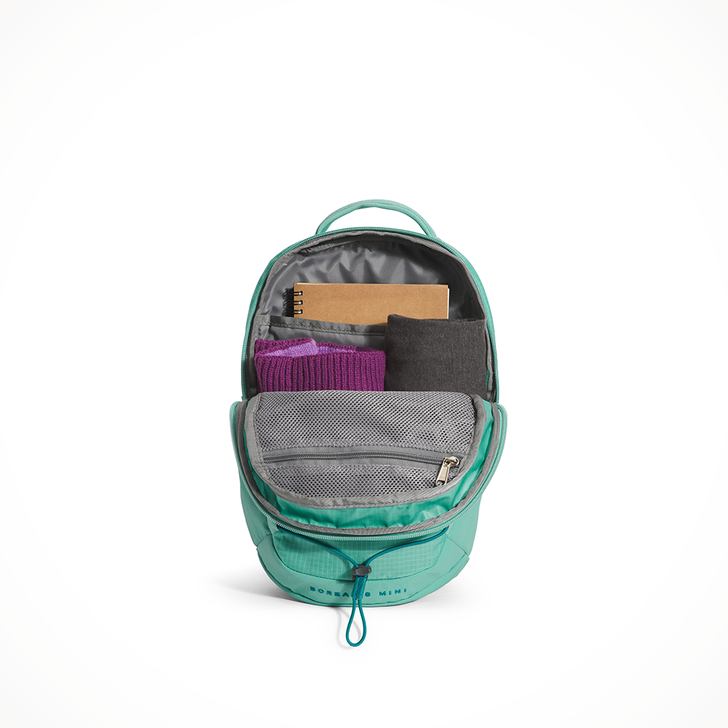 THE NORTH FACE Borealis Mini Backpack: Clothing, Shoes