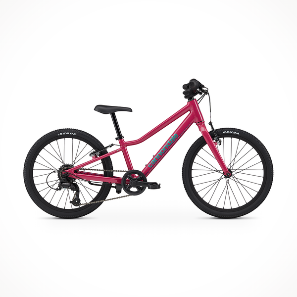 day of the dad　CANNONDALE Kids Quick day of the dad CANNONDALE Kids Quick Cannondale Kids Quick