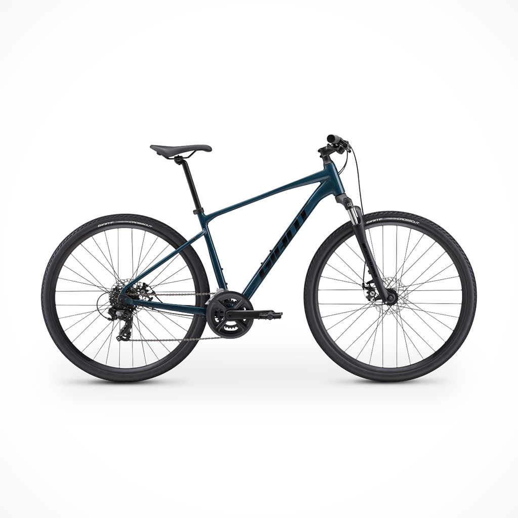 Roam 4 Disc