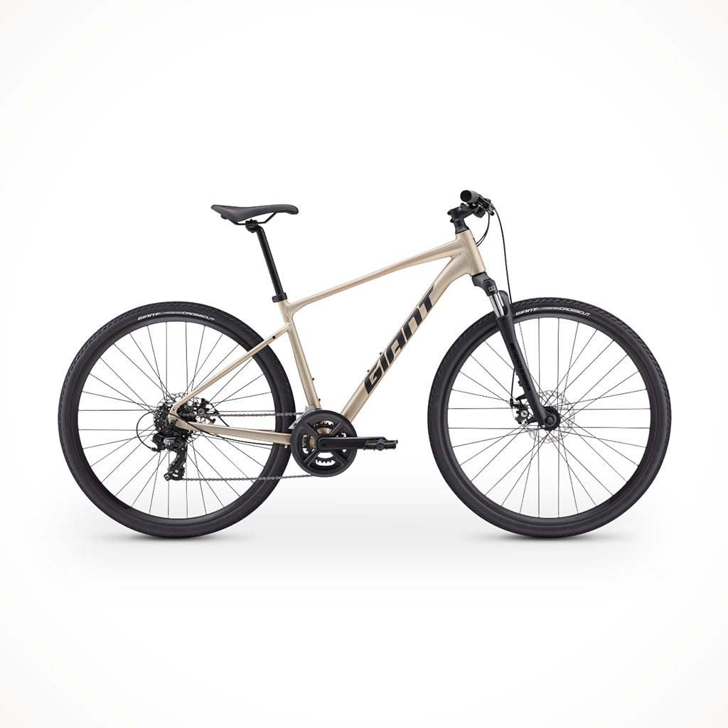 Roam 4 Disc