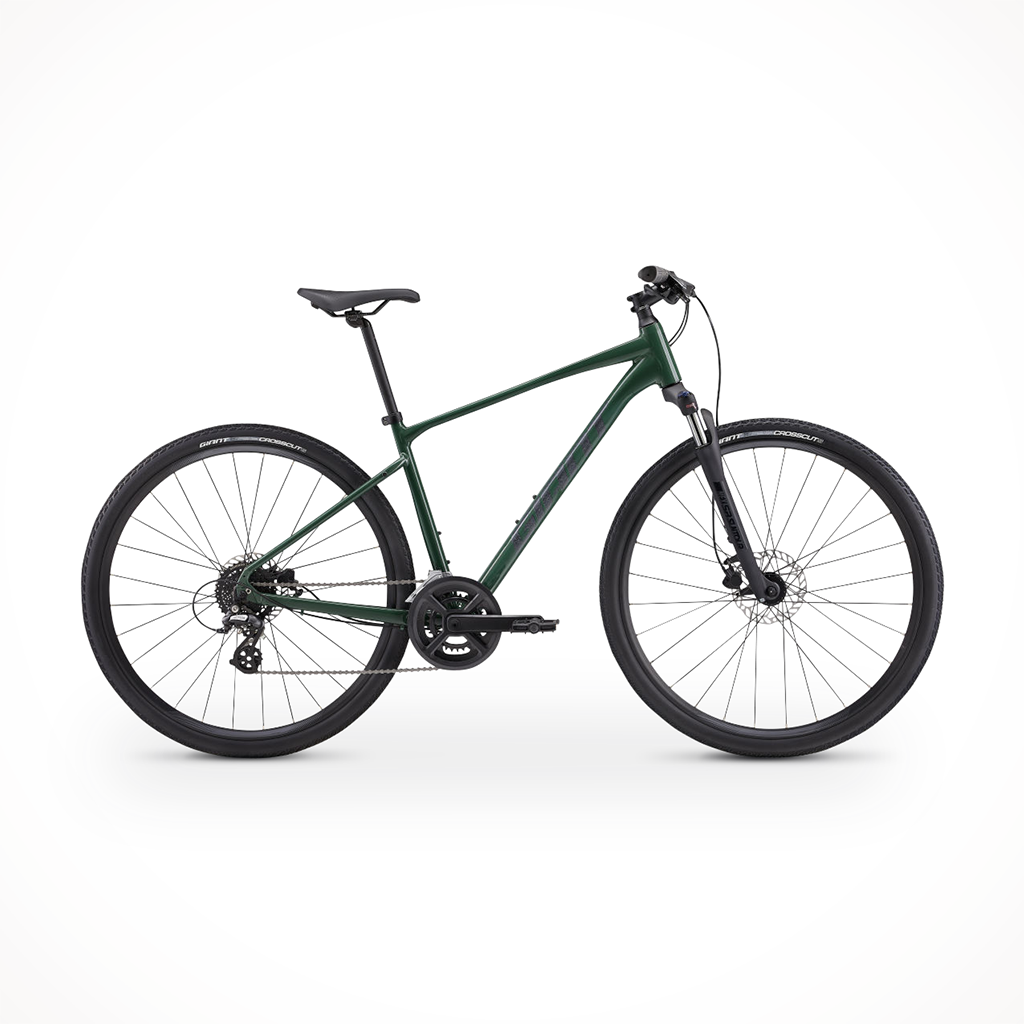 Roam 3 Disc