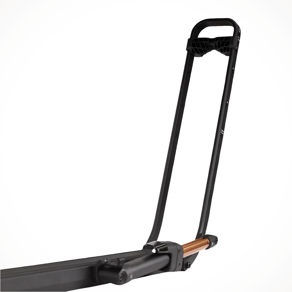 Piston SR Dual Ratchet w/ Kashima 1 Bike