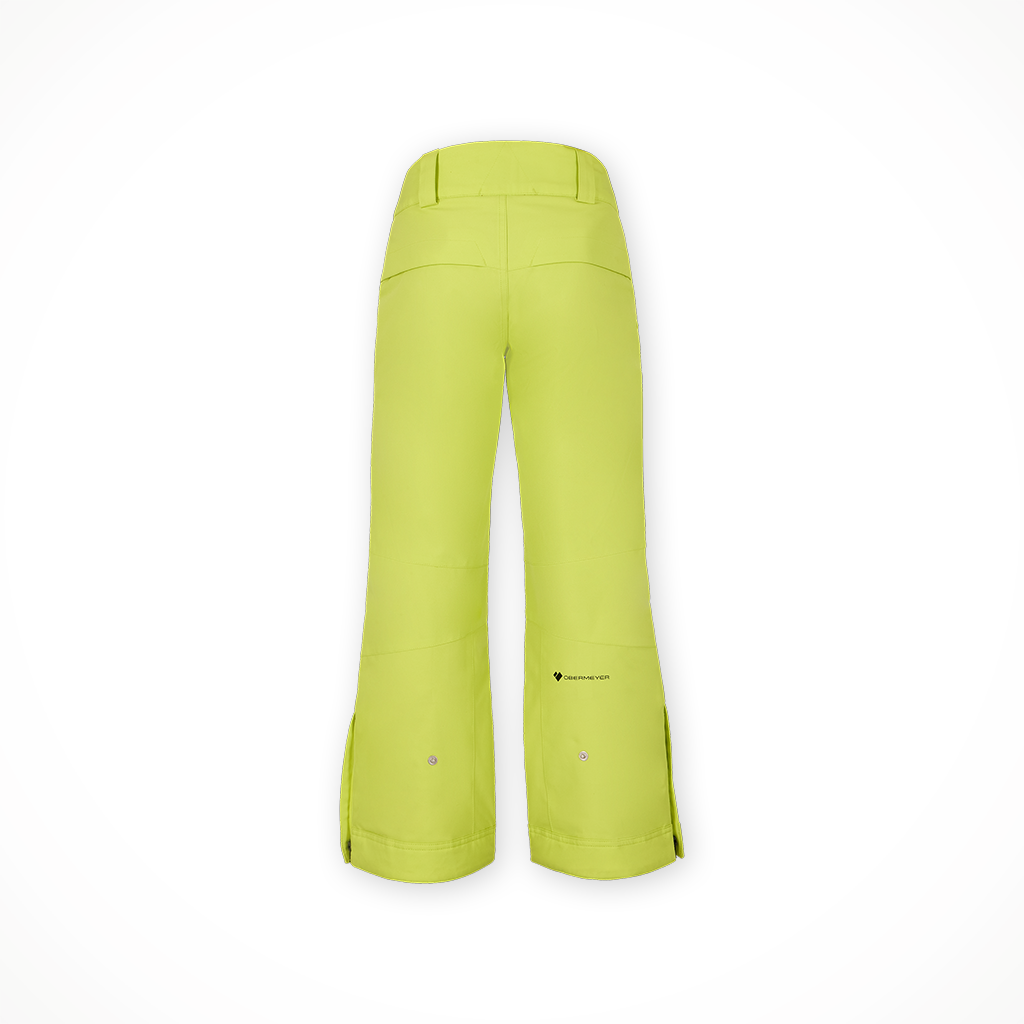 Product image: Obermeyer Brisk Pant Chameleon Boys 2025, shown from the back.