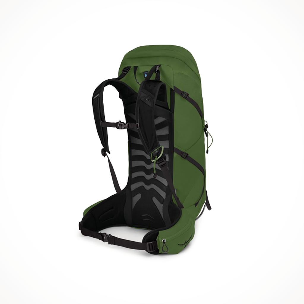 Talon 36