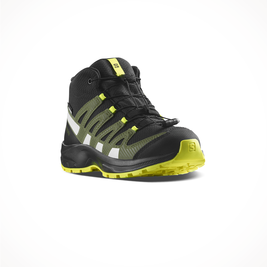 Salomon 3d pro sales xa mid gtx