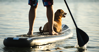 SUPs Collection 952ab43e 3489 460b ba89 c0c1b2a2a93d