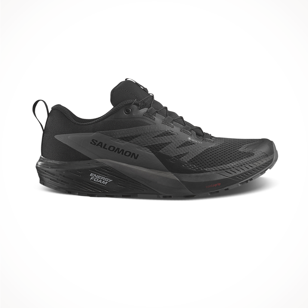 Salomon sense 2025 ride 2 mens