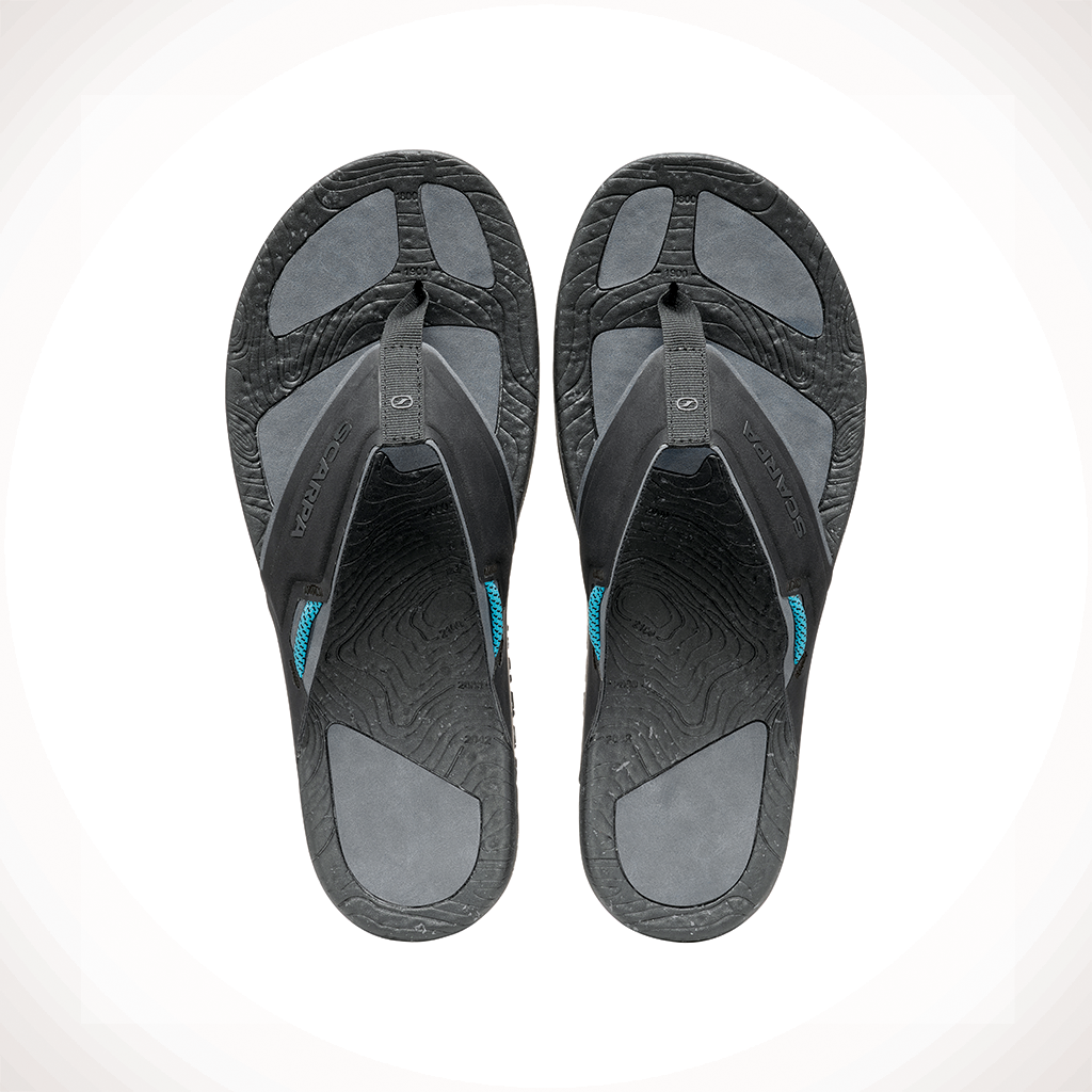 Tegu — Unisex