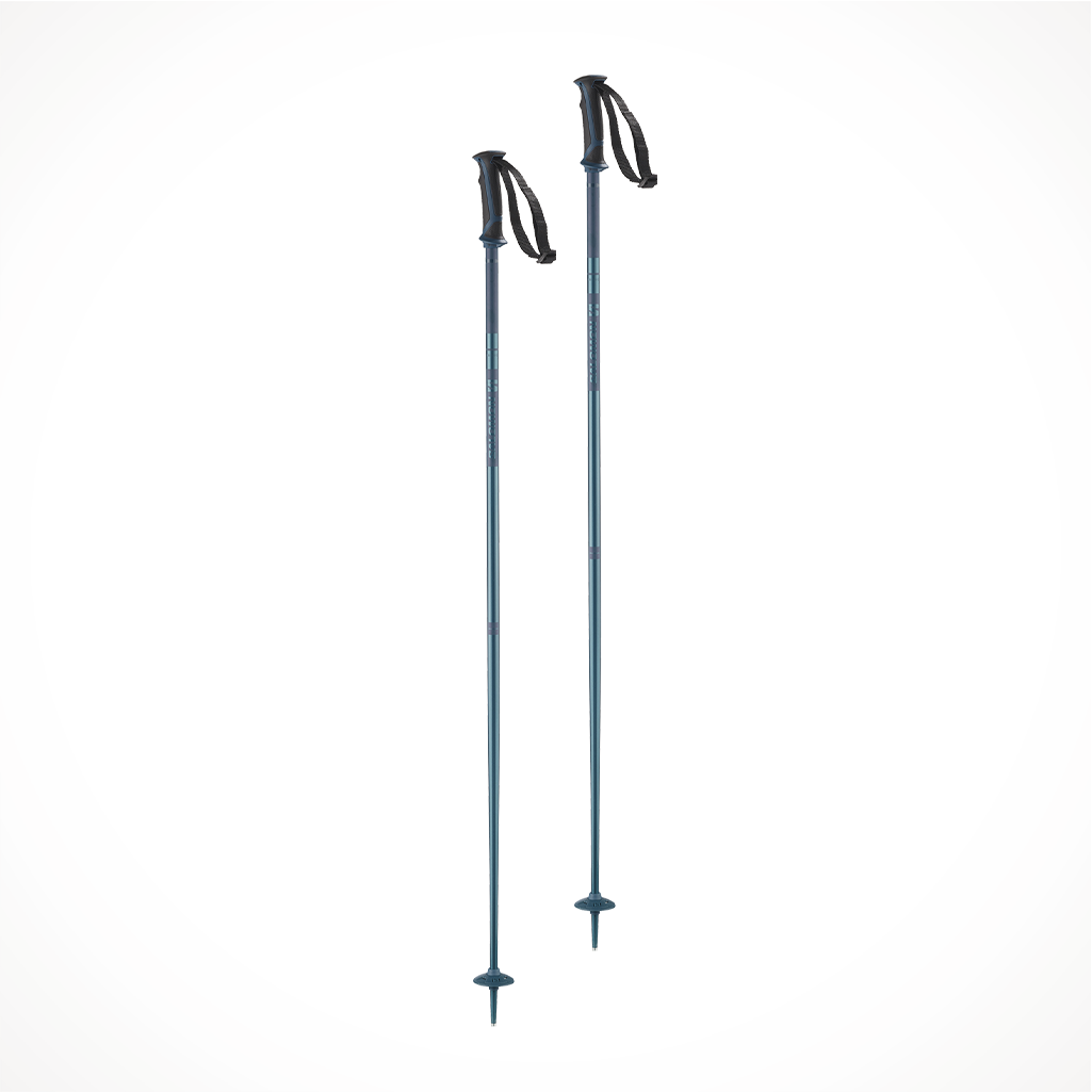 Salomon Arctic Ski Poles 2023 OutdoorSports