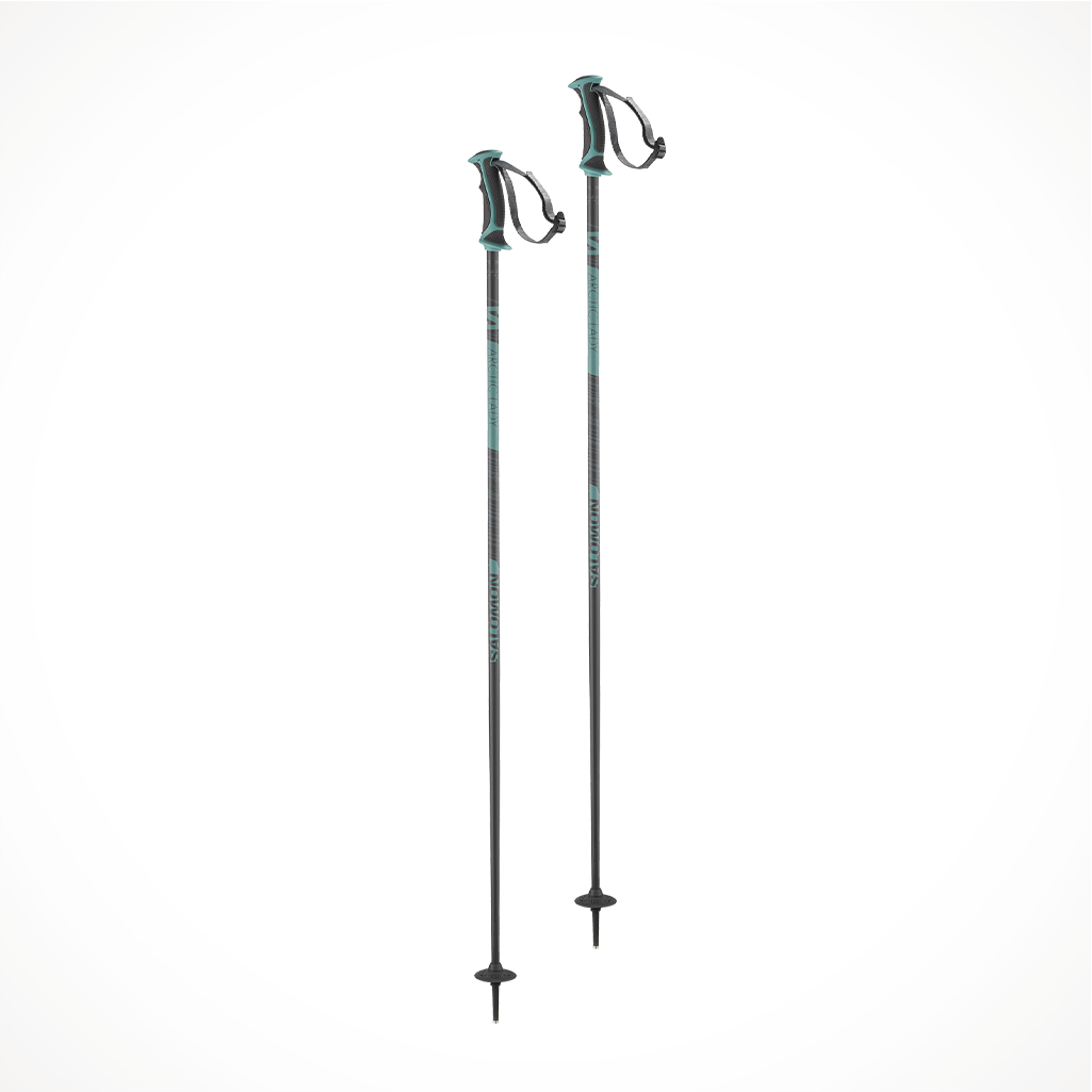 Salomon arctic ski clearance pole