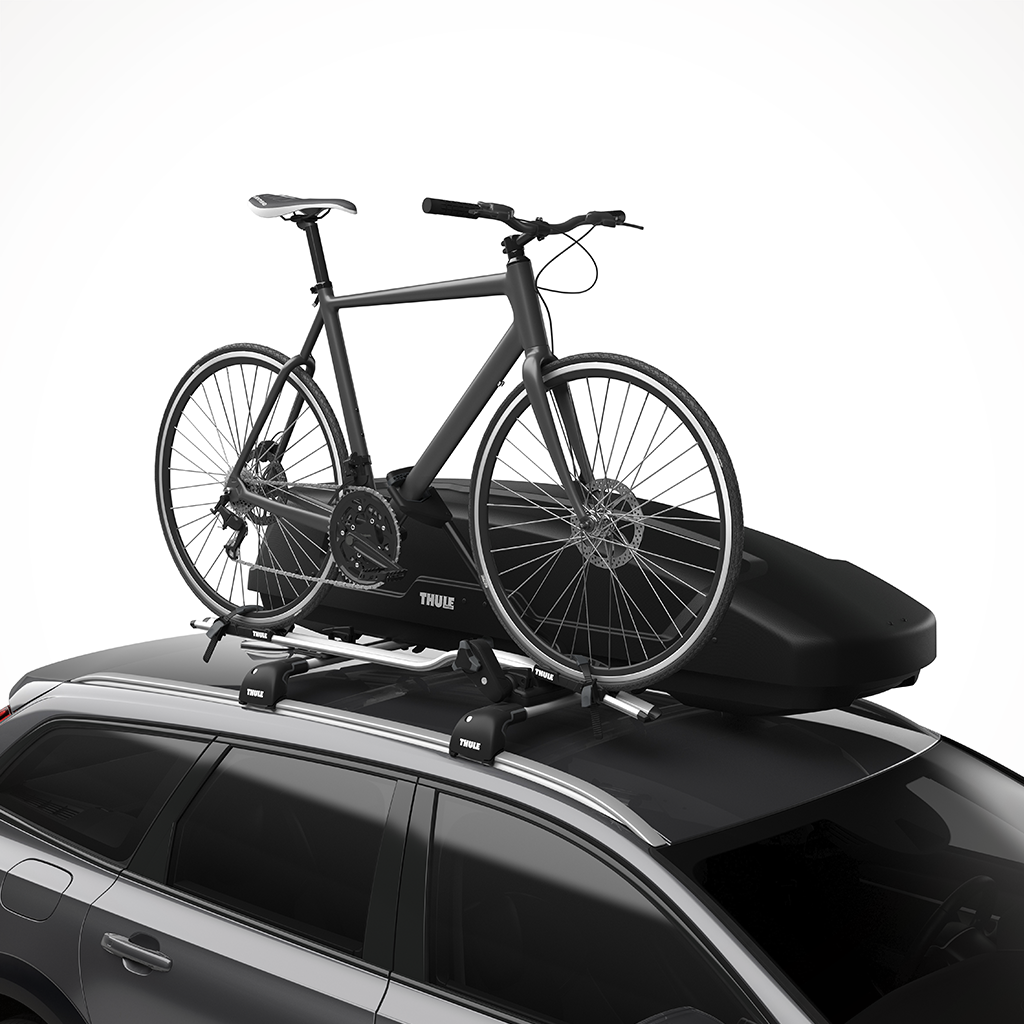 Roof box and bike rack cheap together